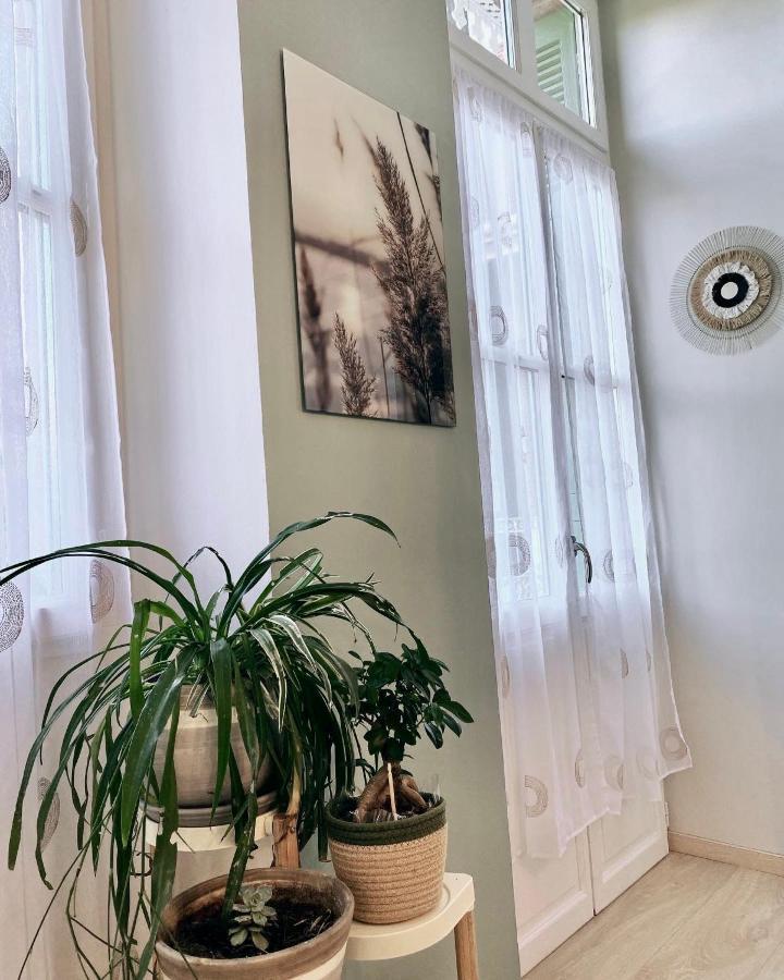 Appt Cosy Residence Palmareda 塔布 外观 照片